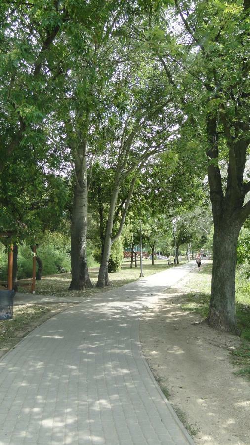 Lazaapartman Nyíregyháza Zewnętrze zdjęcie