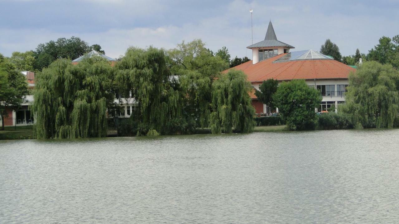 Lazaapartman Nyíregyháza Zewnętrze zdjęcie