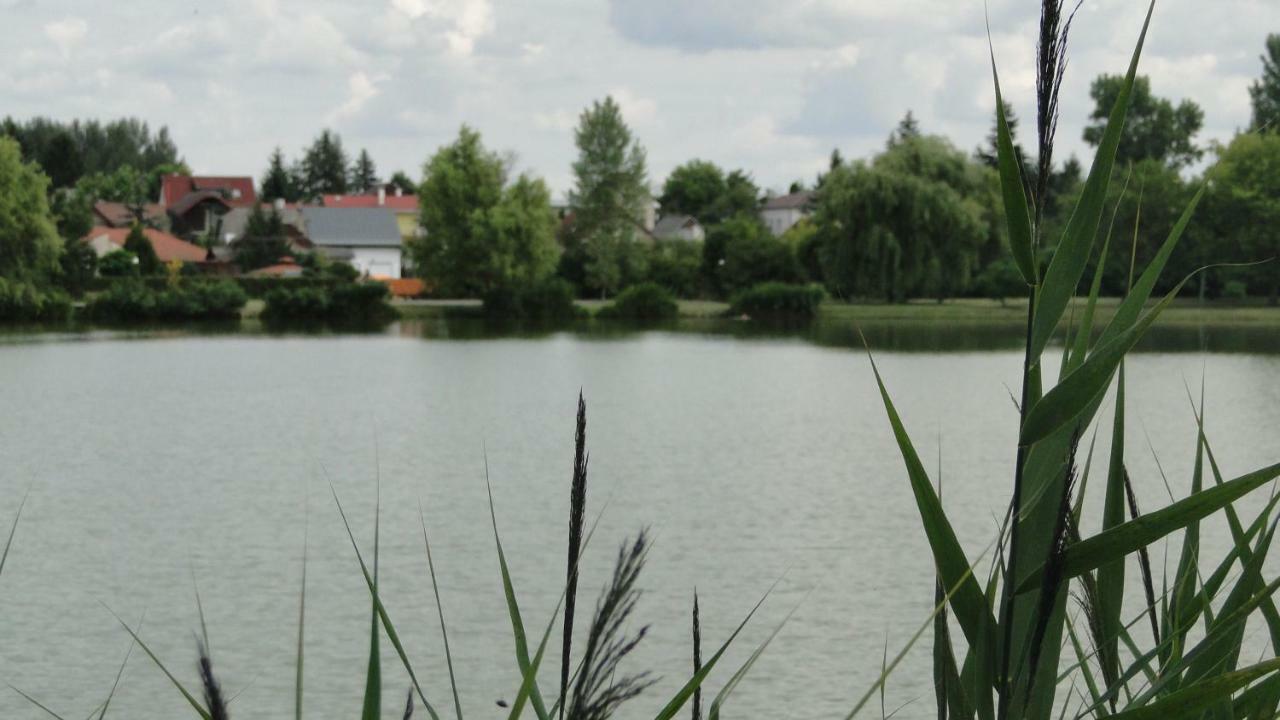 Lazaapartman Nyíregyháza Zewnętrze zdjęcie